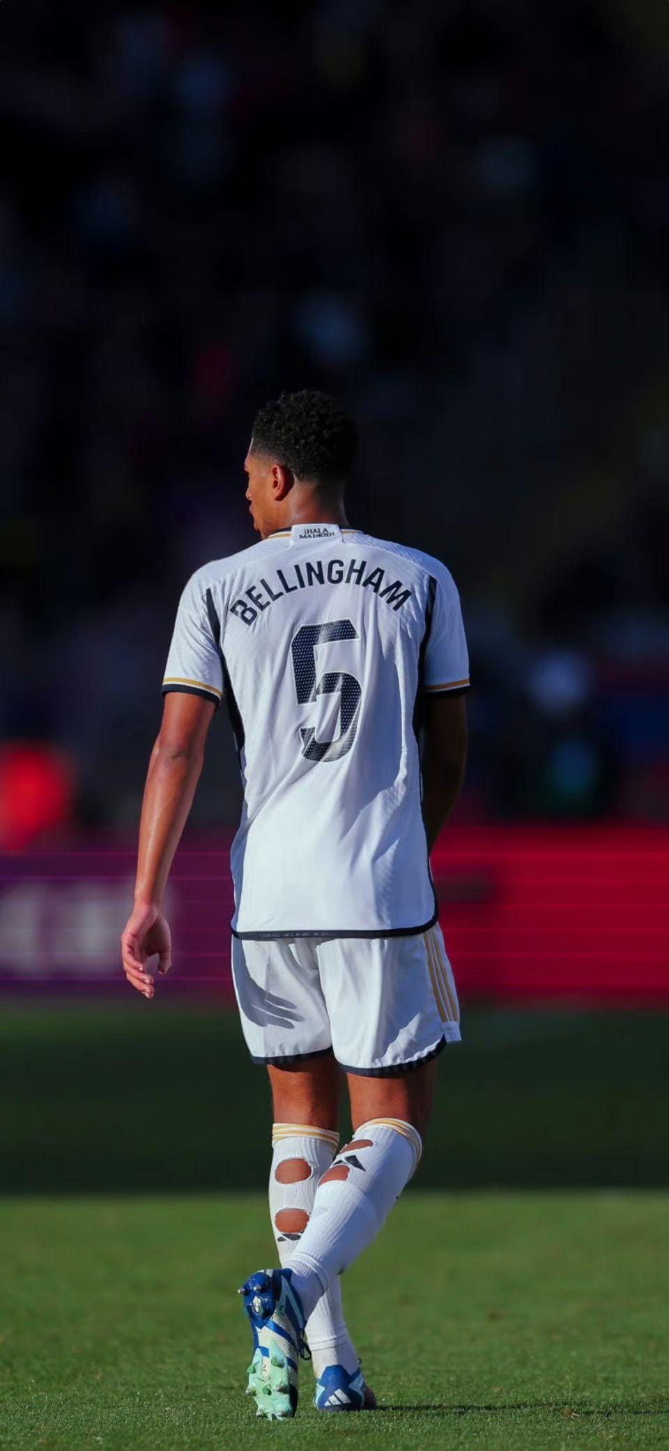 徐伟获北京科技进步奖一等奖，推动零碳建筑技术体系发展（徐伟荣膺北京科技进步一等奖，引领零碳建筑技术体系发展）